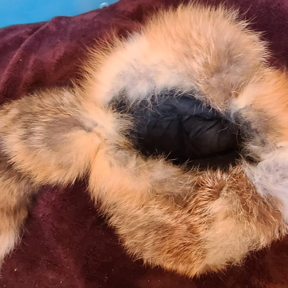 true fox fur trapper hat with tail - Picture 2 of 3